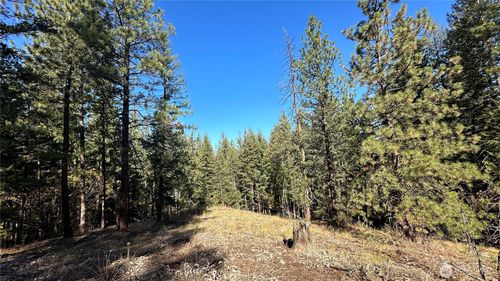 142 C Red Pine Ct, Winthrop, WA, 98862 | Card Image