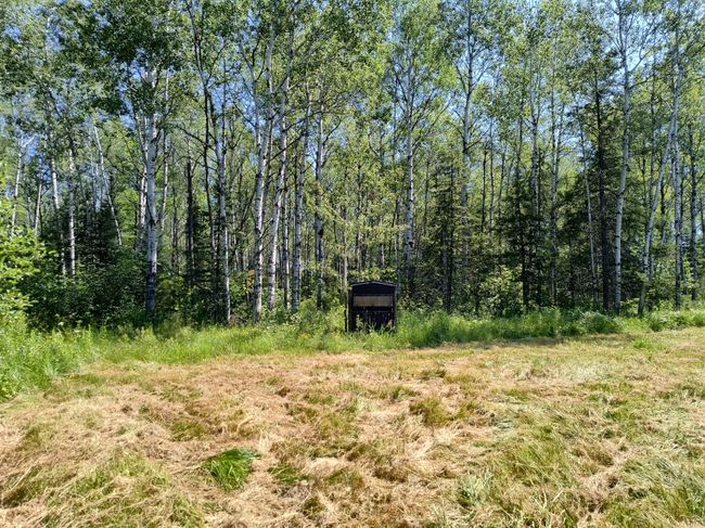16499 Hwy 45, Home with 0 bedrooms, 0 bathrooms and null parking in Bruce Crossing MI | Image 24