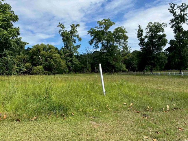 View of yard | Image 10