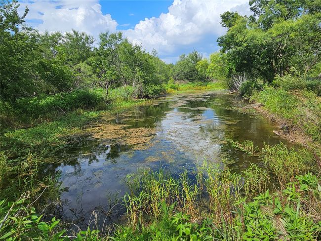 Water view | Image 9