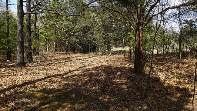 1651 Farm Market 2029, House other with 3 bedrooms, 3 bathrooms and null parking in Telephone TX | Image 35