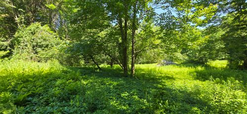 16 Wilson Road, Gorham, ME, 04038 | Card Image