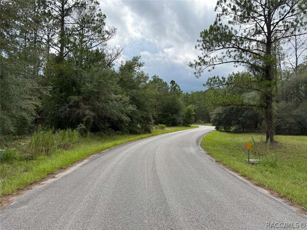 Land in Citrus Springs 4