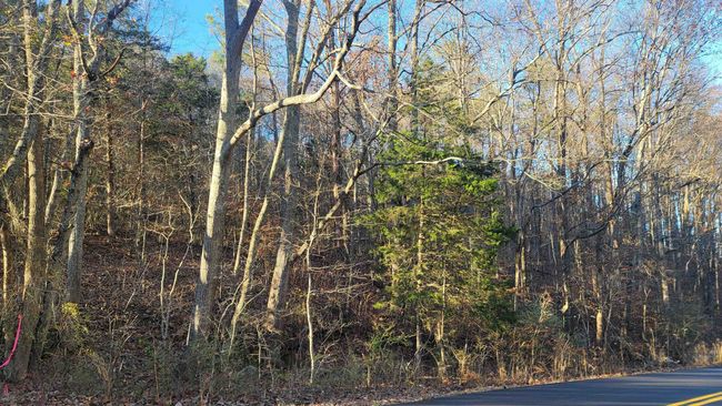 0 Rock Creek Rd, Home with 0 bedrooms, 0 bathrooms and null parking in Eva AL | Image 8