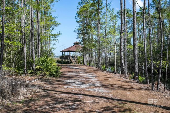 Community nature trail | Image 52