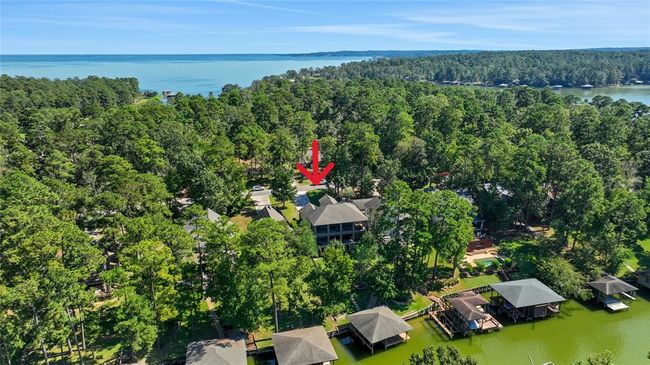 Stunning aerial view of Lake Livingston | Image 39
