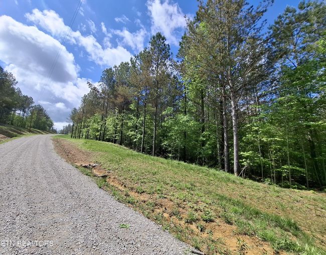 38 Stonecipher Ct, Home with 0 bedrooms, 0 bathrooms and null parking in Sunbright TN | Image 6