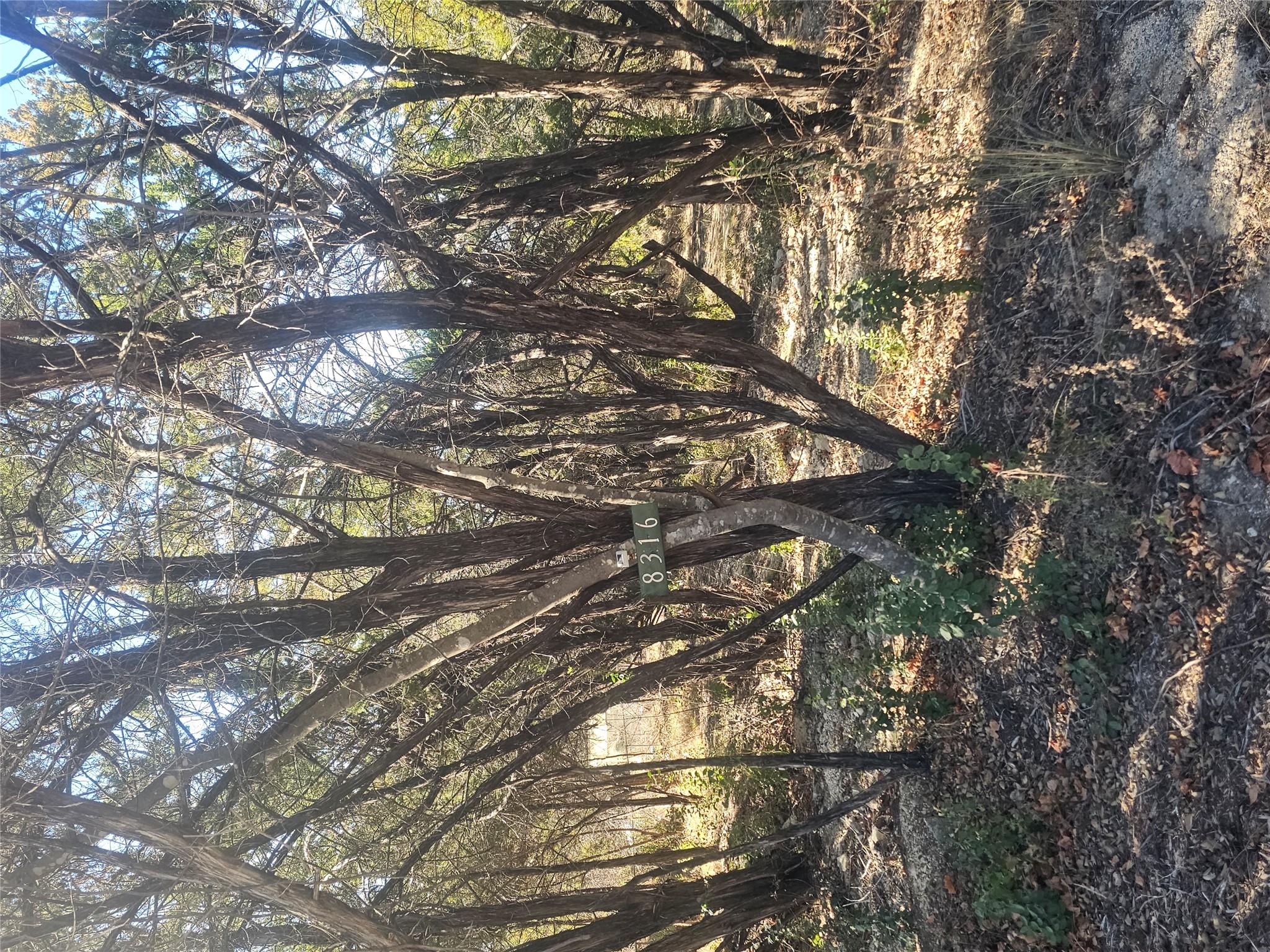 Land in Lago Vista 5