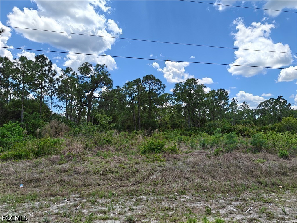 Land in Lehigh Acres 2