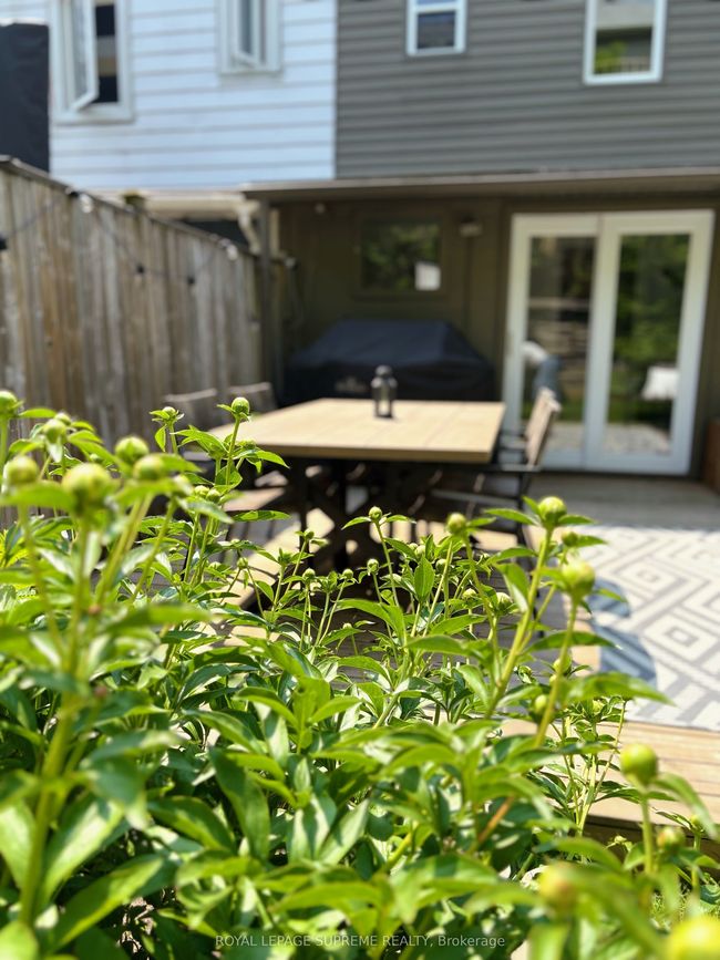 36 Walpole Ave, House attached with 4 bedrooms, 2 bathrooms and null parking in Toronto ON | Image 46