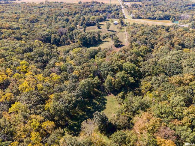 27232 215 Th St, Home with 5 bedrooms, 4 bathrooms and null parking in Canton MO | Image 50