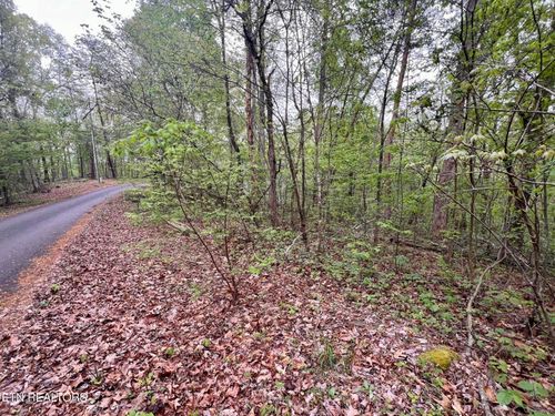 Lot 71&72 Polly Mountain Rd, Madisonville, TN, 37354 | Card Image
