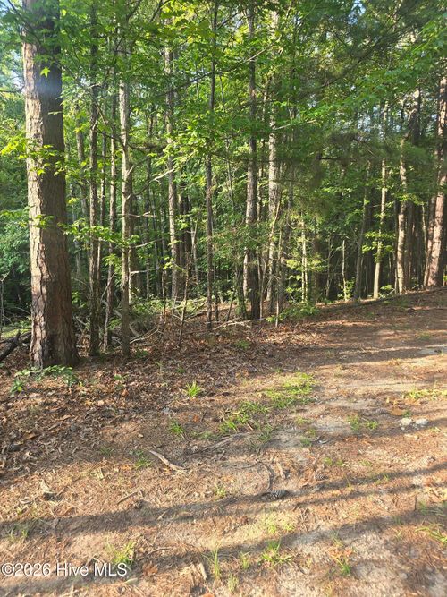 Lot 15 B1 Southwind Drive, McCormick, SC, 29835 | Card Image