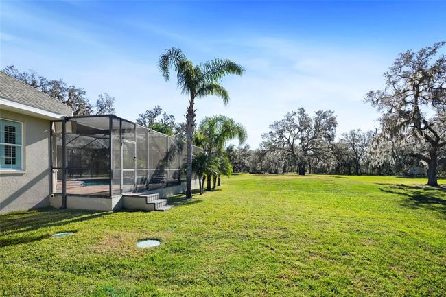 11518 Hammock Oaks Ct, House other with 4 bedrooms, 6 bathrooms and null parking in LITHIA FL | Image 57