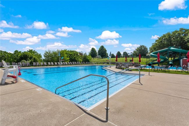 Treesdale Pool! | Image 47