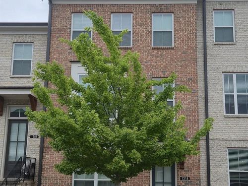 1318 Bennett Creek Overlook, Suwanee, GA, 30024-7785 | Card Image