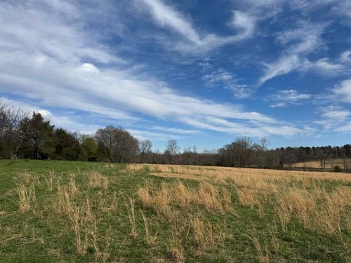 0 County Road 71, Lexington, AL, 35648 | Card Image