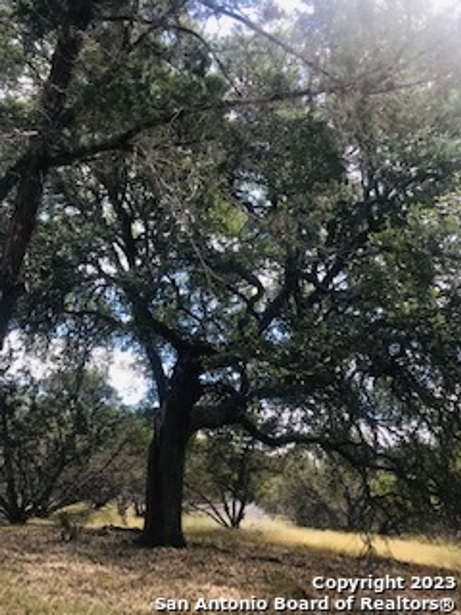 26 Mustang Crossing Dr, Home with 0 bedrooms, 0 bathrooms and null parking in Pipe Creek TX | Image 4