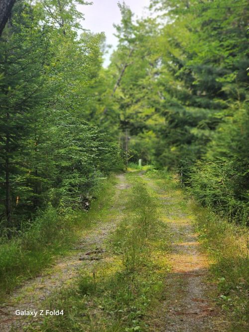 7469 Clewley Road, Glenburn, ME, 04401 | Card Image