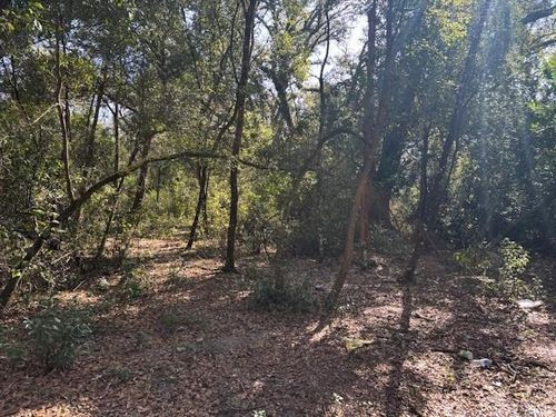 0 County Road 54 E, KATHLEEN, FL, 33849 | Card Image