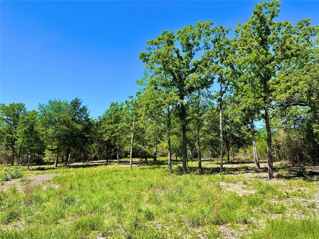 357 Oak Holw, Home with 0 bedrooms, 0 bathrooms and null parking in Caldwell TX | Image 6