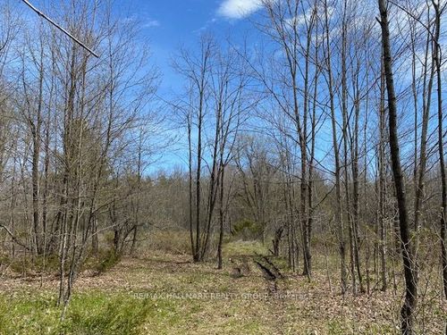 0 Moran Rd, South Elmsley, ON, K0G1L0 | Card Image