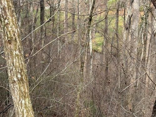 #15A Mossy Oaks Lane, Hiawassee, GA, 30546 | Card Image