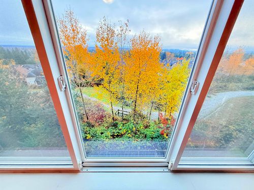 {{alt}} | Card Image