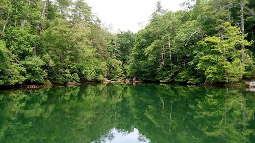 1 Quiet Waters, Murphy, NC, 28906 | Card Image