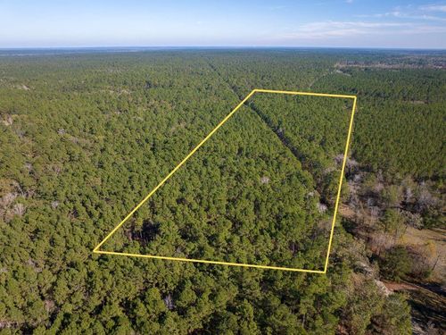 000 Forest Service Road 527, Apple Springs, TX, 75926 | Card Image