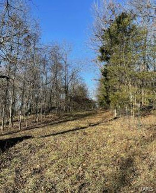 1838 Stollmeyer Rd, Home with 3 bedrooms, 2 bathrooms and null parking in Morrison MO | Image 48