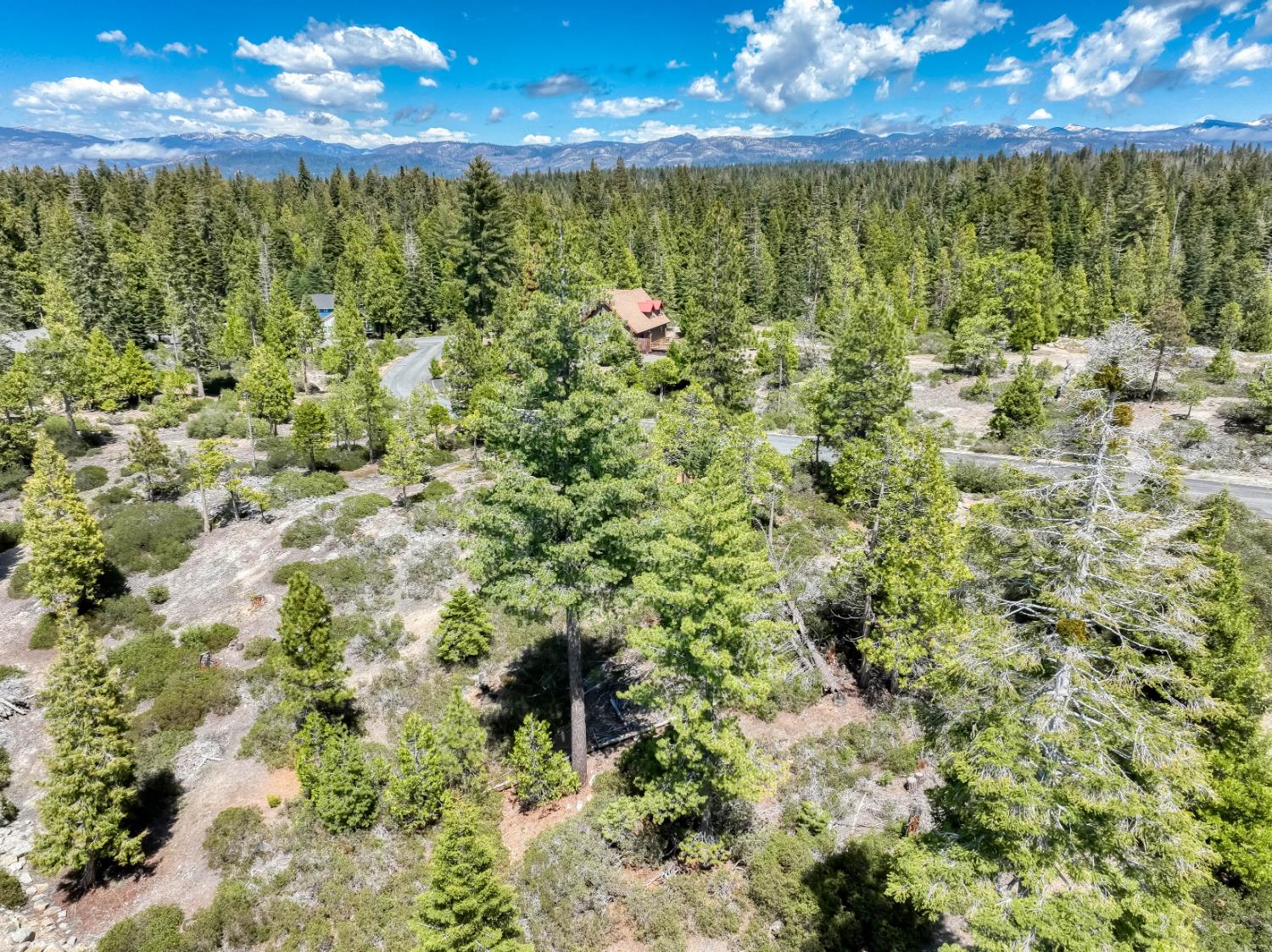 Land in Shaver Lake 5