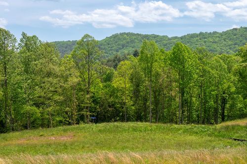 Lot 15 Waterstone Way, Mineral Bluff, GA, 30559 | Card Image
