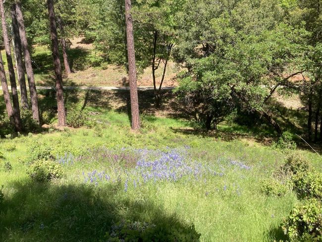 16688 Sonshine Ln, Home with 0 bedrooms, 0 bathrooms and null parking in Sutter Creek CA | Image 58