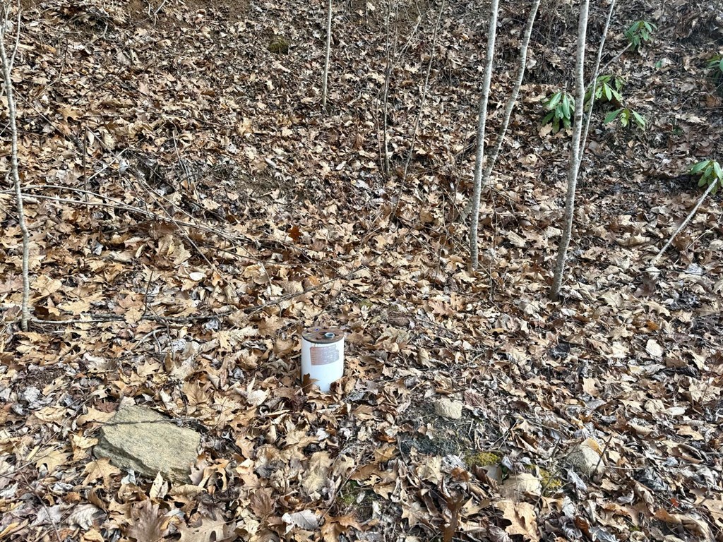 Land in Franklin 5