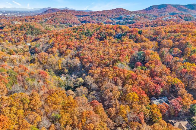 03-SGP-0005 | Image 6