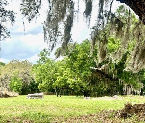 1031 Orange Boulevard, POLK CITY, FL, 33868 | Card Image