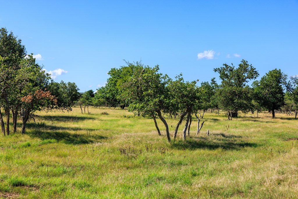 Land in Fredericksburg 4
