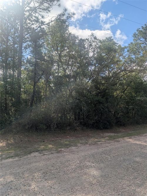 8791 N Folland Dr, DUNNELLON, FL, 34433-4971 | Card Image