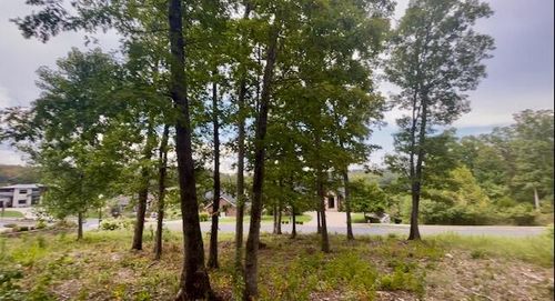 Tbd Pinehurst Ct, Branson, MO, 65616 | Card Image