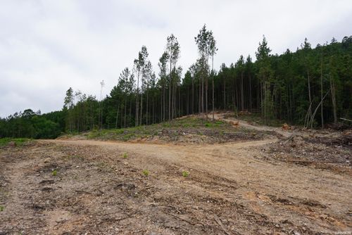 lot-2-XXX Palmer Mountain Road, Caddo Gap, AR, 71935 | Card Image