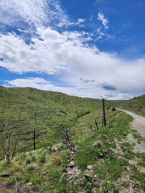 201 Coyote Pass, Columbus, MT, 59019-7705 | Card Image