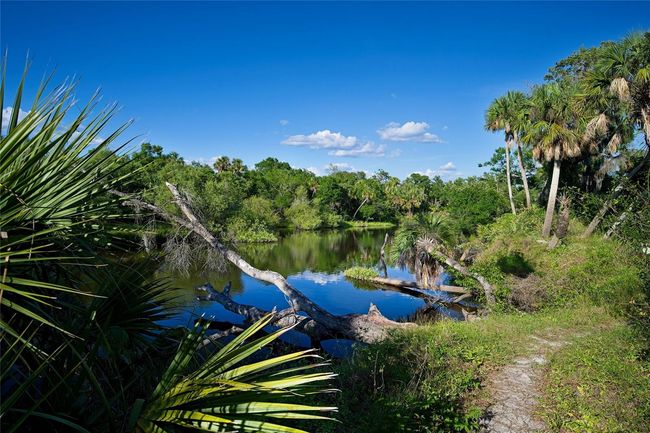 956 Scherer Way, House other with 4 bedrooms, 3 bathrooms and null parking in OSPREY FL | Image 44