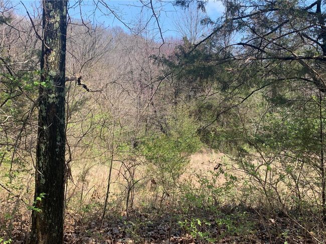 view of Field | Image 5