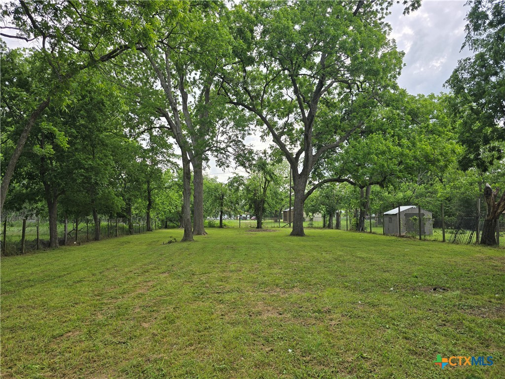 Land in Marlin 3