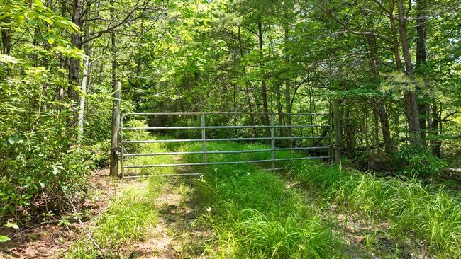 Lot 1 High Knee Rd, Home with 0 bedrooms, 0 bathrooms and null parking in Cherry Log GA | Image 12