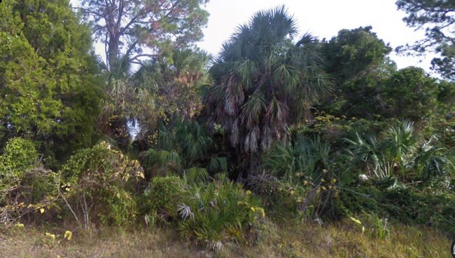 lot 2 Sw 165th Avenue, Home with 0 bedrooms, 0 bathrooms and null parking in Cedar Key FL | Image 5