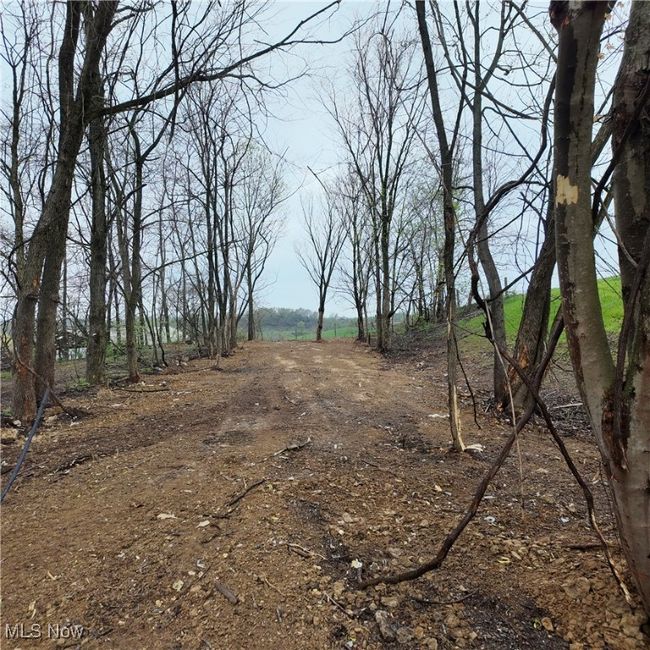 50194 Jacobsburg Key Rd, House other with 3 bedrooms, 2 bathrooms and null parking in Jacobsburg OH | Image 19
