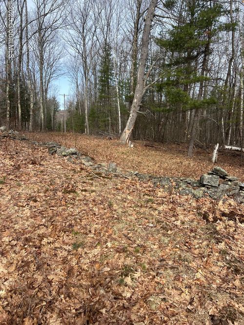 1 Welch Road, Blenheim, NY, 12131 | Card Image