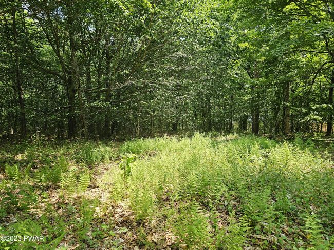 Property 7 | Image 7